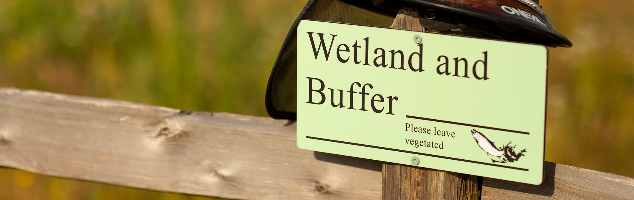 About Ecological Restoration & Stormwater Management LLC