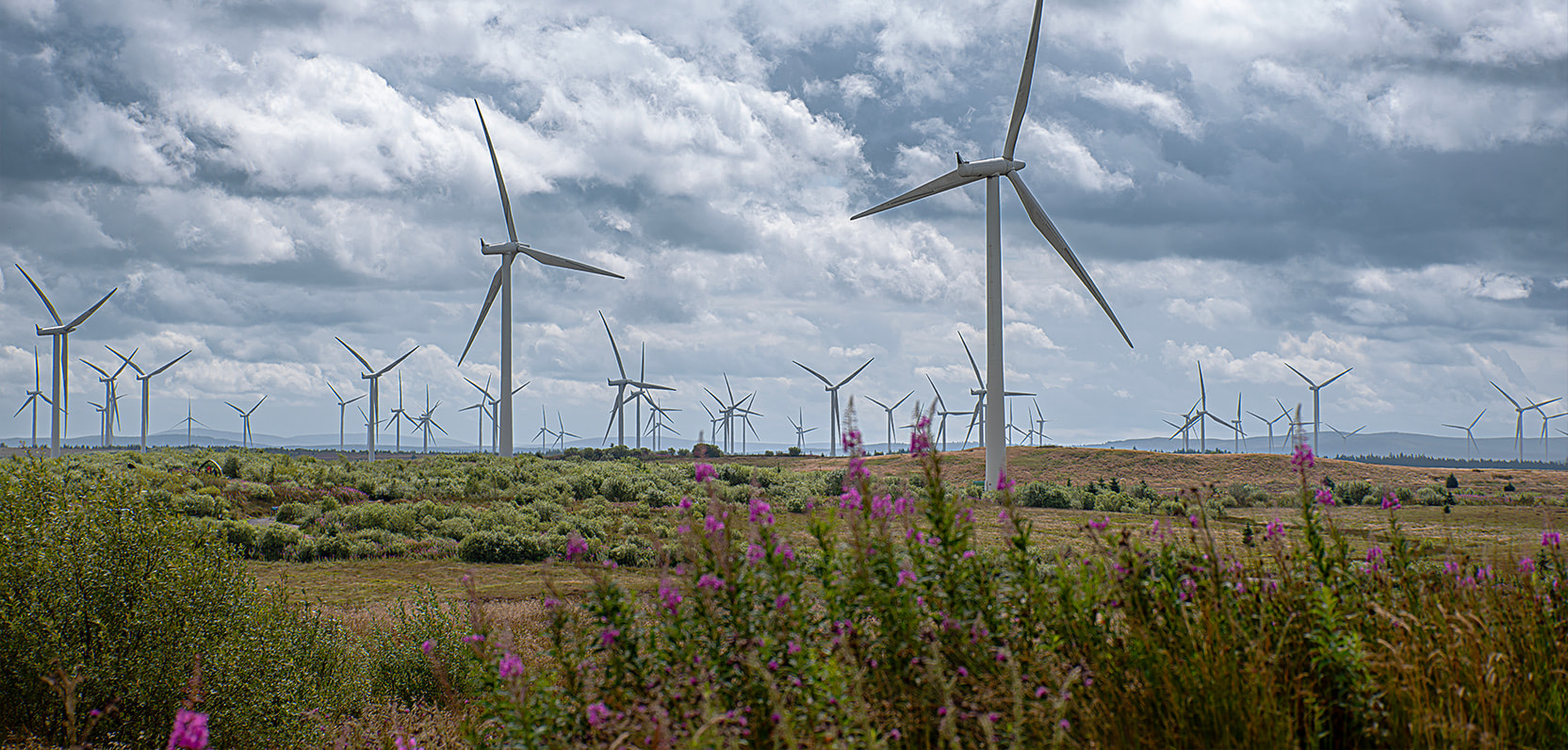 Ecological Restoration & Stormwater Management LLC Team