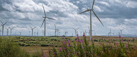 Power Companies & Utility Providers